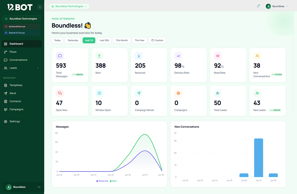 12BOT dashboard — business overview and analytics